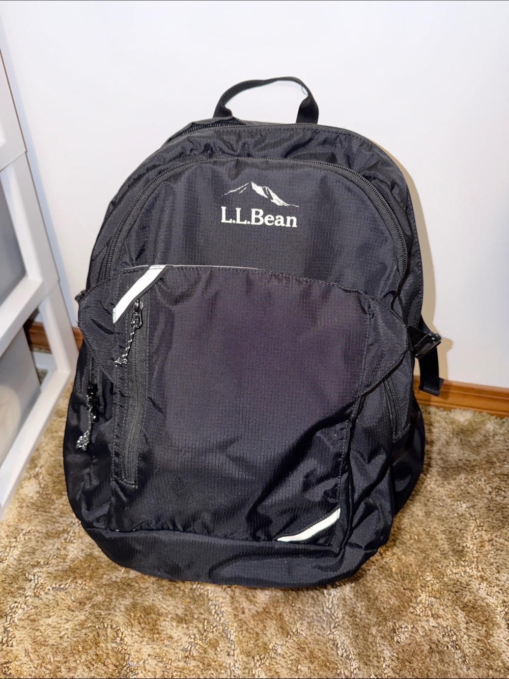 EUC L.L.Bean 30L Backpack